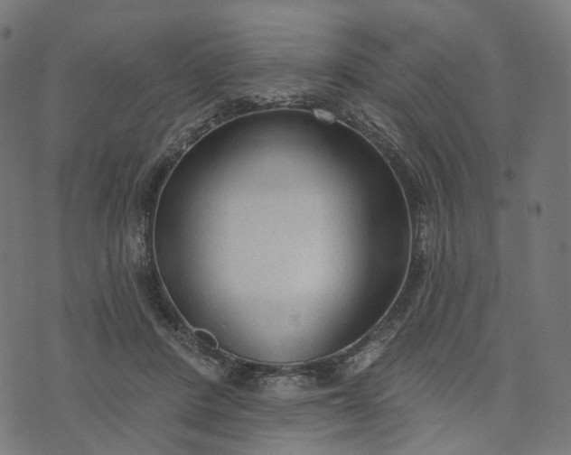 X0000073760408200608171401