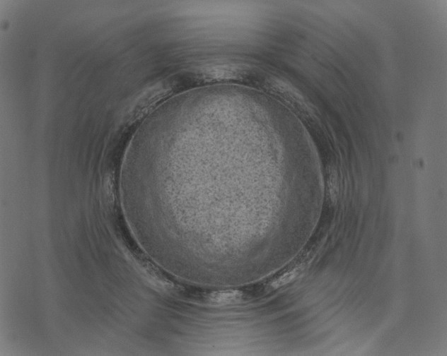 X0000073760410200608171401