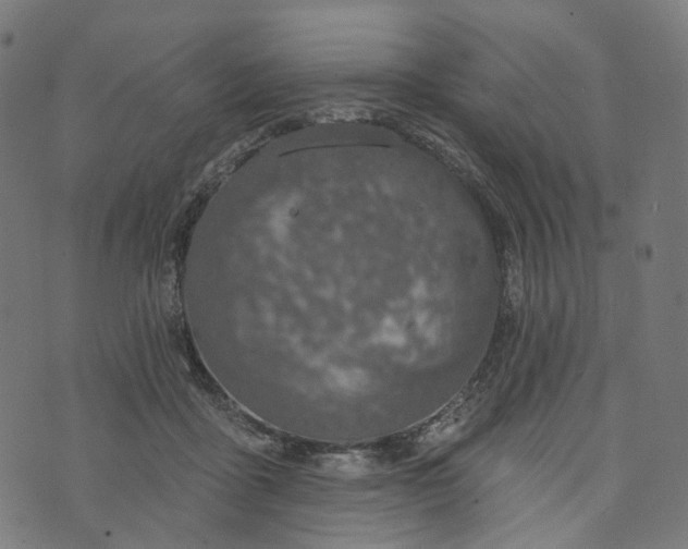 X0000073760411200608171401