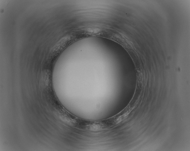 X0000073760412200608171401