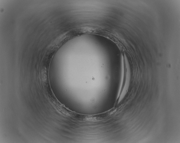 X0000073760413200608171401