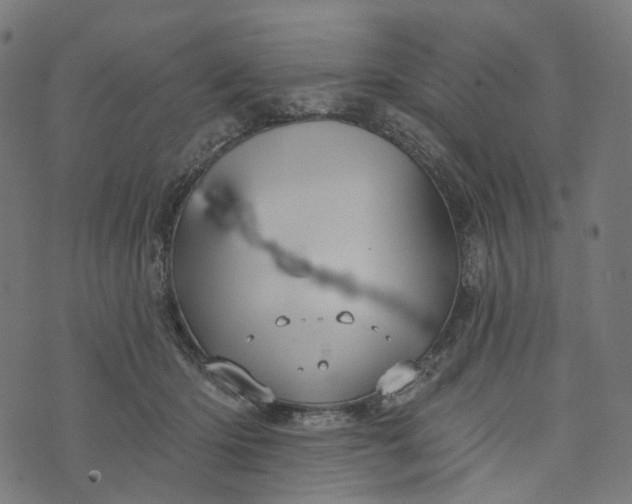 X0000073760414200608171401