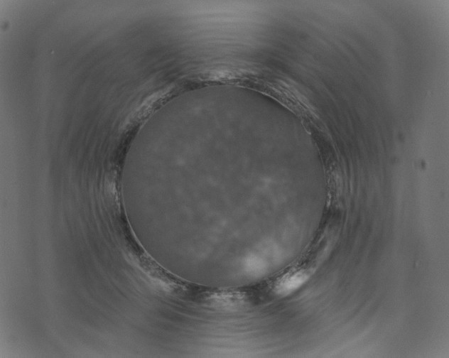 X0000073760415200608171401