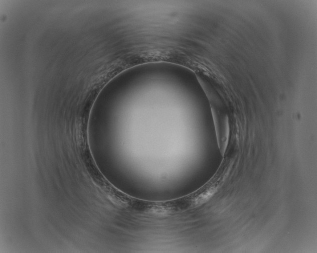 X0000073760416200608171401