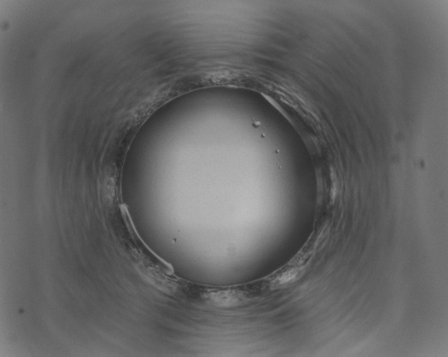 X0000073760417200608171401