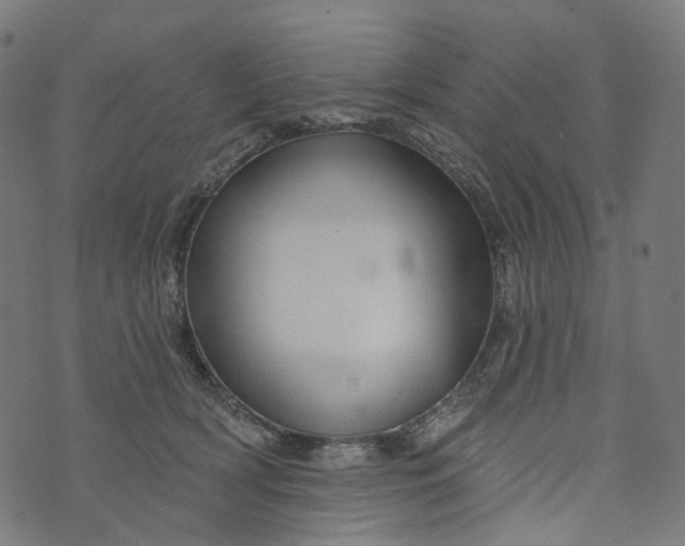 X0000073760418200608171401