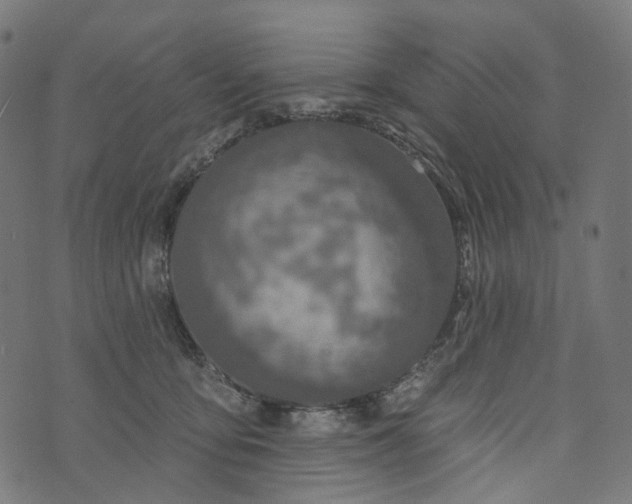 X0000073760419200608171401