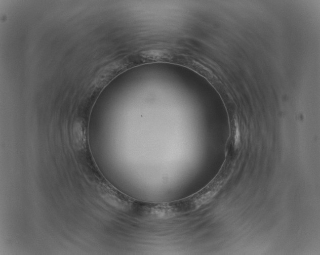 X0000073760420200608171401