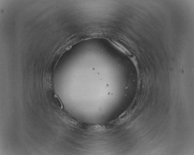 X0000073760421200608171401