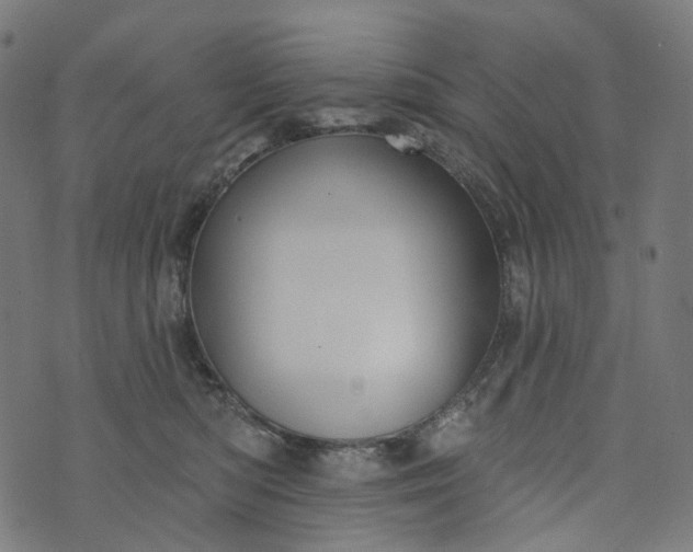 X0000073760422200608171401