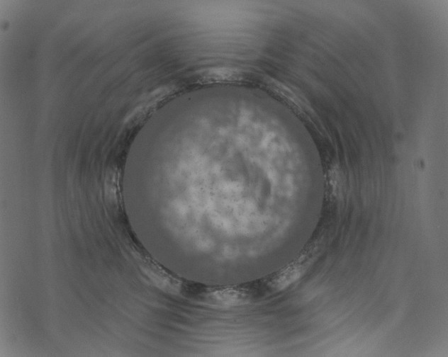 X0000073760423200608171401