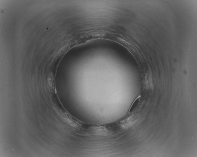 X0000073760424200608171401