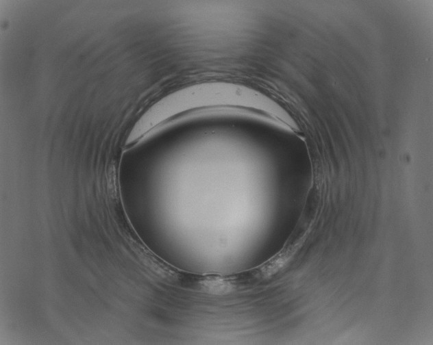 X0000073760425200608171401