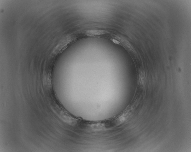 X0000073760426200608171401