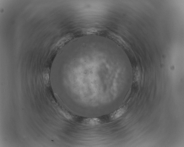 X0000073760427200608171401