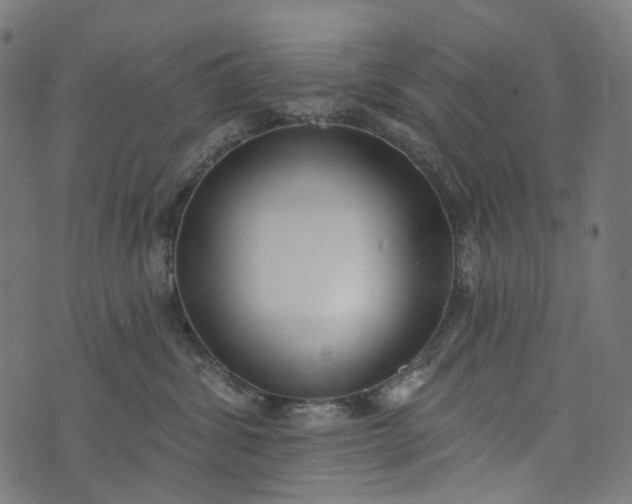 X0000073760428200608171401