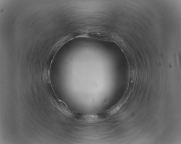 X0000073760429200608171401