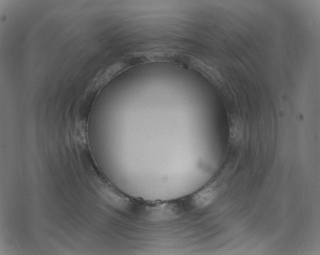 X0000073760430200608171401