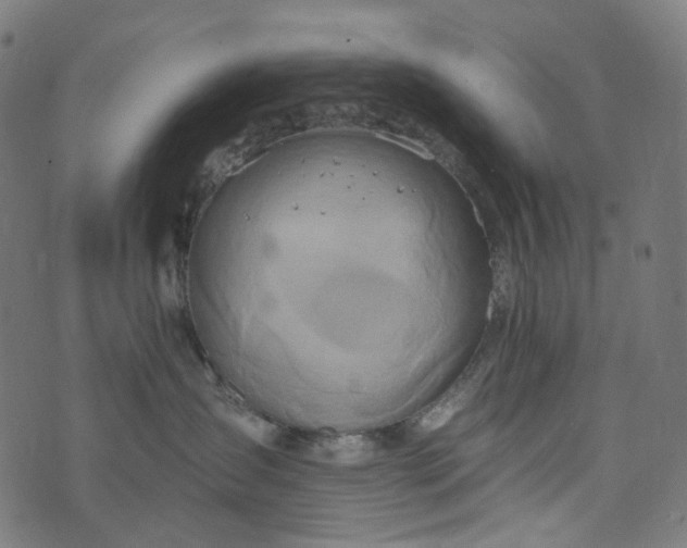 X0000073760431200608171401