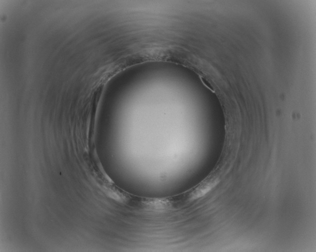 X0000073760432200608171401