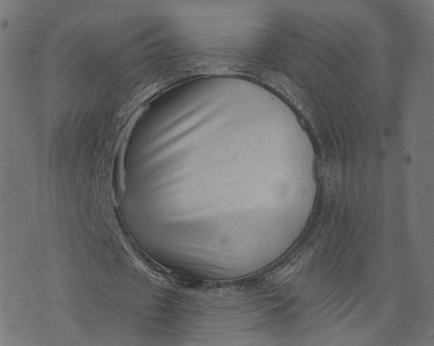 X0000073760433200608171400