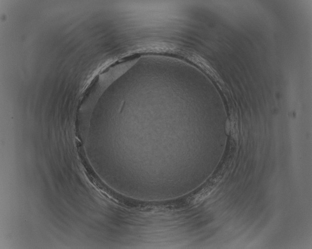 X0000073760434200608171400