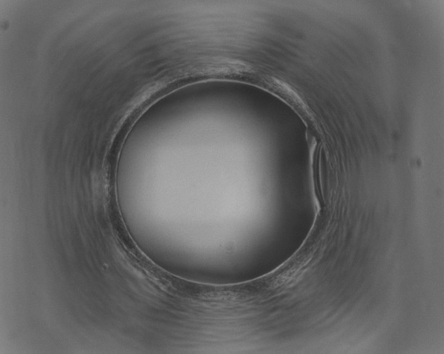 X0000073760435200608171400