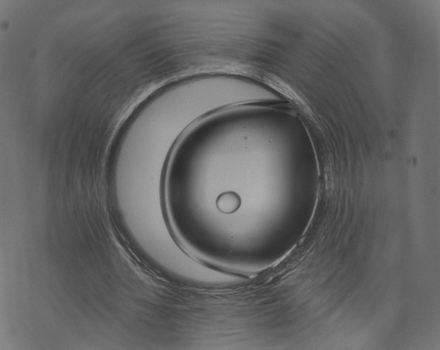 X0000073760436200608171400