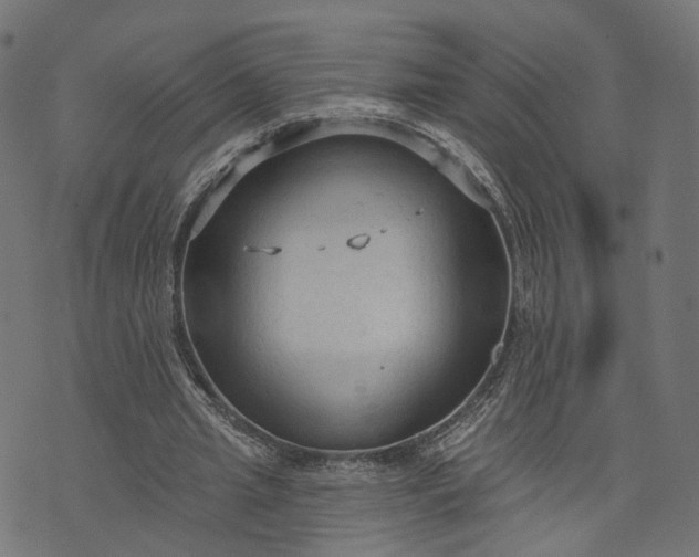 X0000073760437200608171400