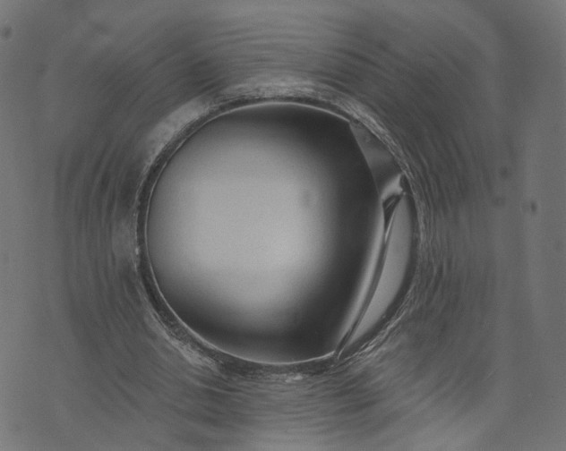 X0000073760438200608171400