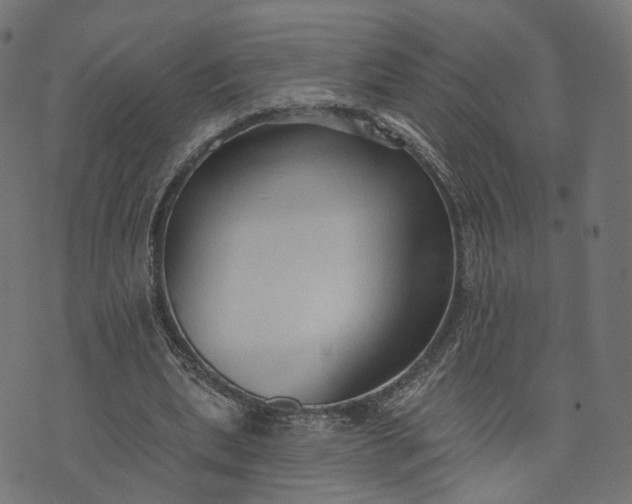 X0000073760439200608171400