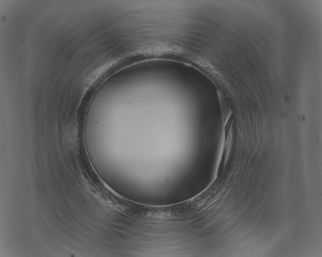 X0000073760440200608171400