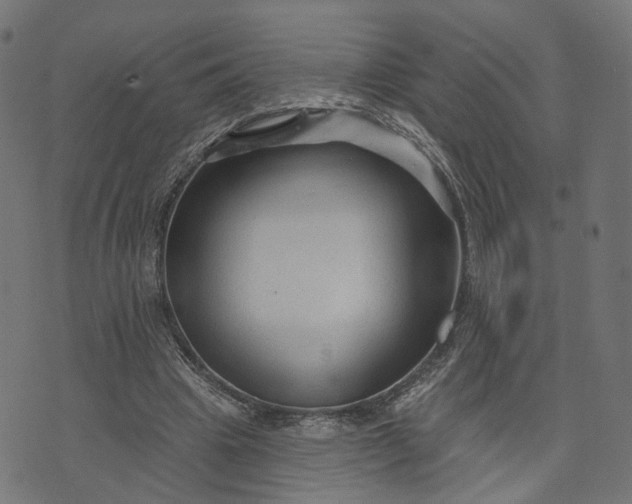 X0000073760441200608171400