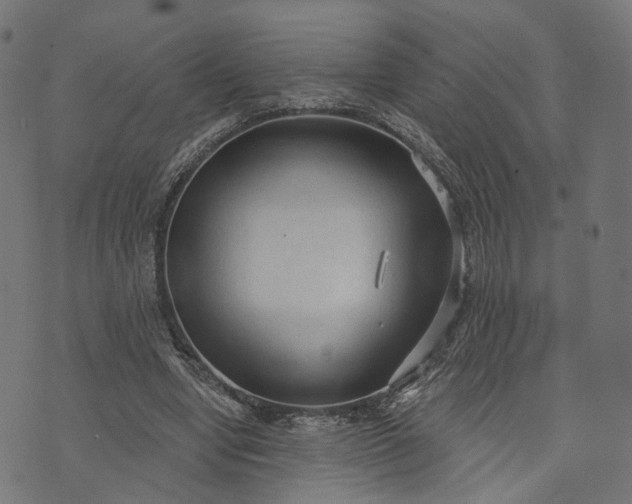 X0000073760442200608171400