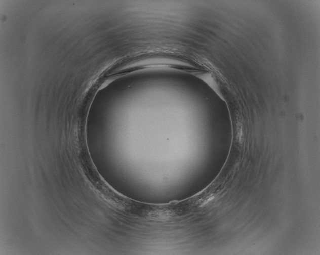 X0000073760444200608171400