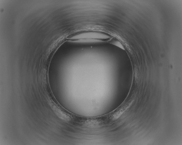 X0000073760445200608171400