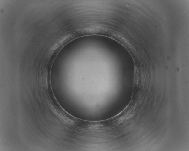 X0000073760446200608171400