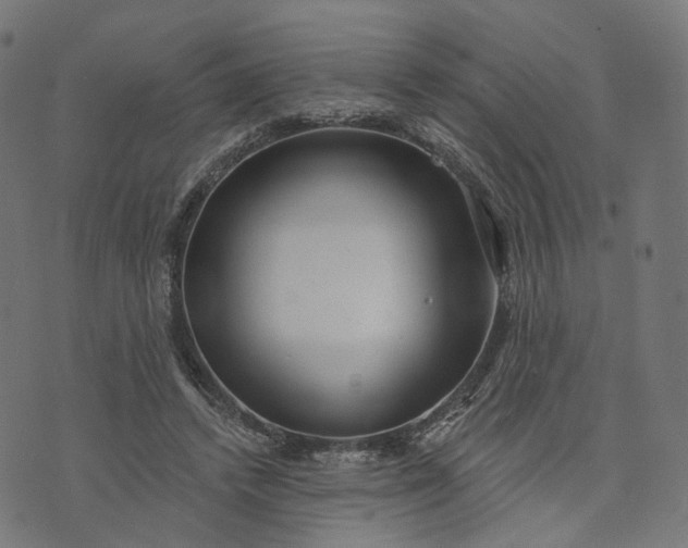 X0000073760448200608171400