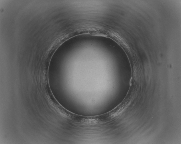 X0000073760449200608171400