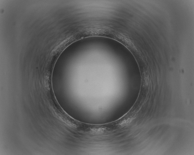 X0000073760450200608171400