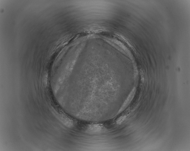 X0000073760451200608171400