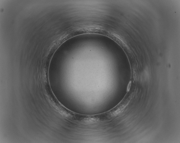 X0000073760453200608171400