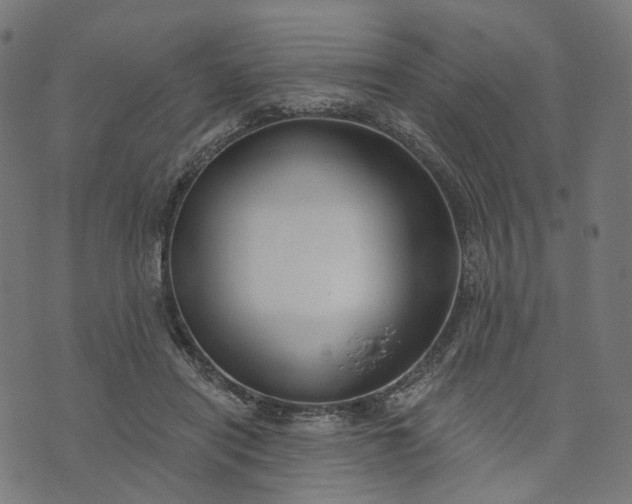 X0000073760454200608171400