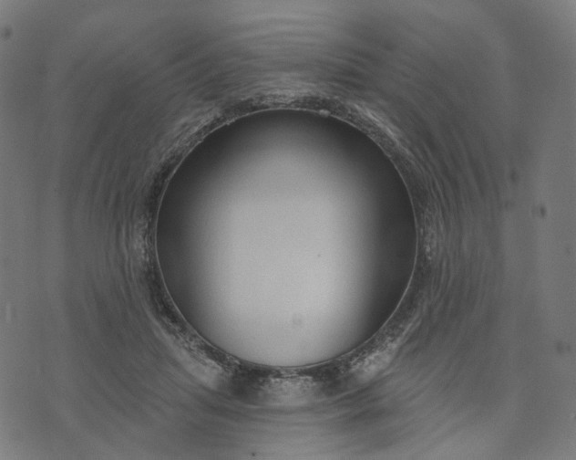 X0000073760455200608171400