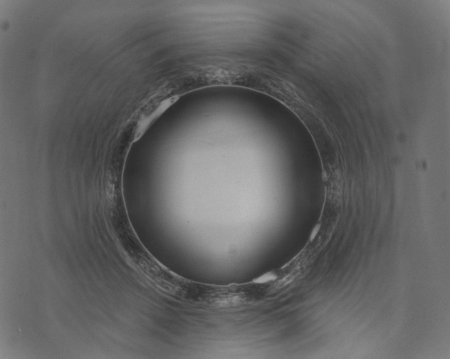 X0000073760456200608171400