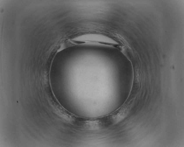 X0000073760457200608171400