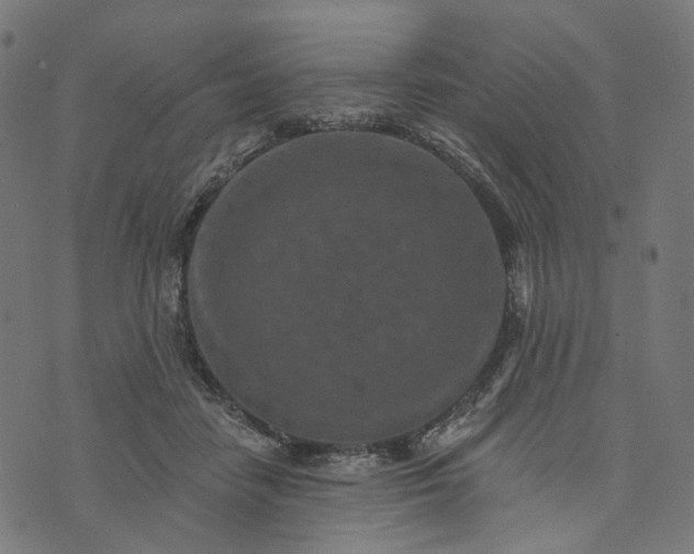 X0000073760458200608171401