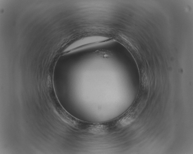 X0000073760459200608171401