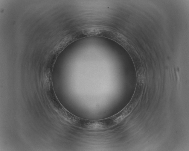 X0000073760460200608171401