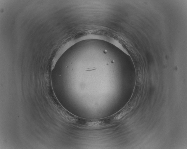 X0000073760461200608171401